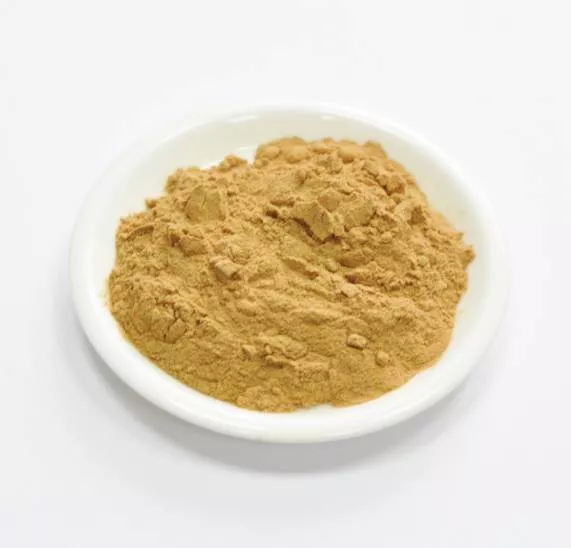 Сухой экстракт магнолии (кора) (лат. Magnolia officinalis)